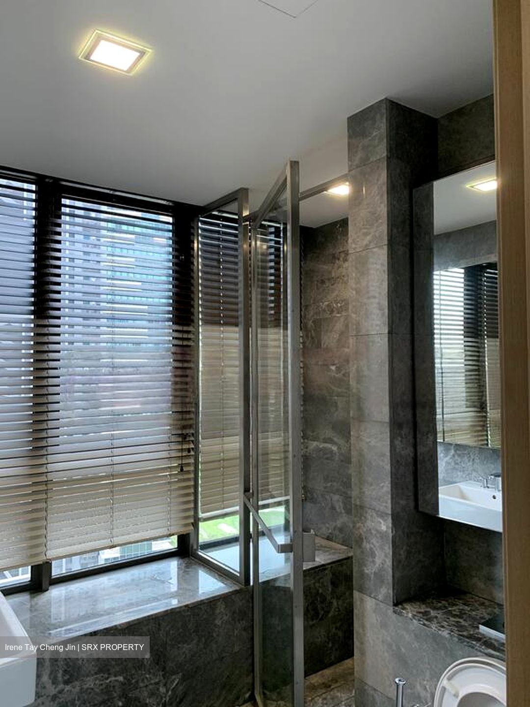 Skyline Residences (D4), Condominium #481237921